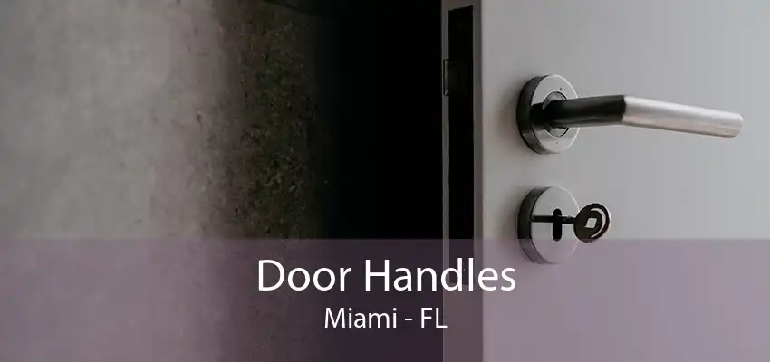 Door Handles Miami - FL