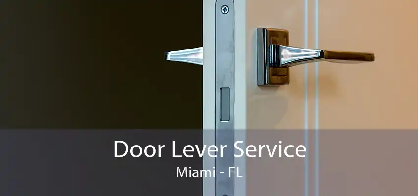 Door Lever Service Miami - FL